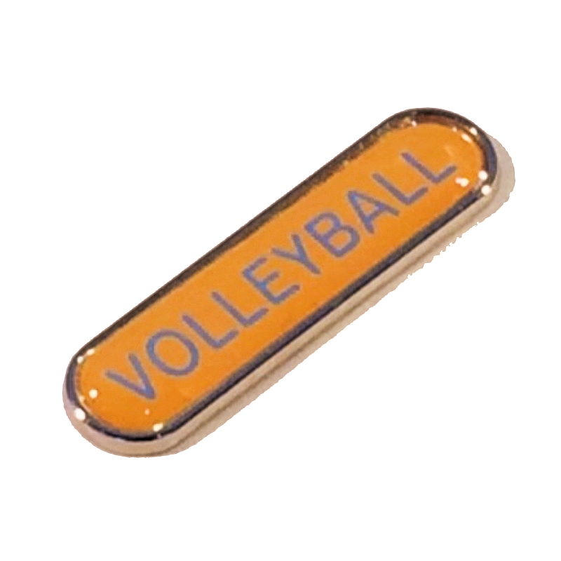 VOLLEYBALL badge